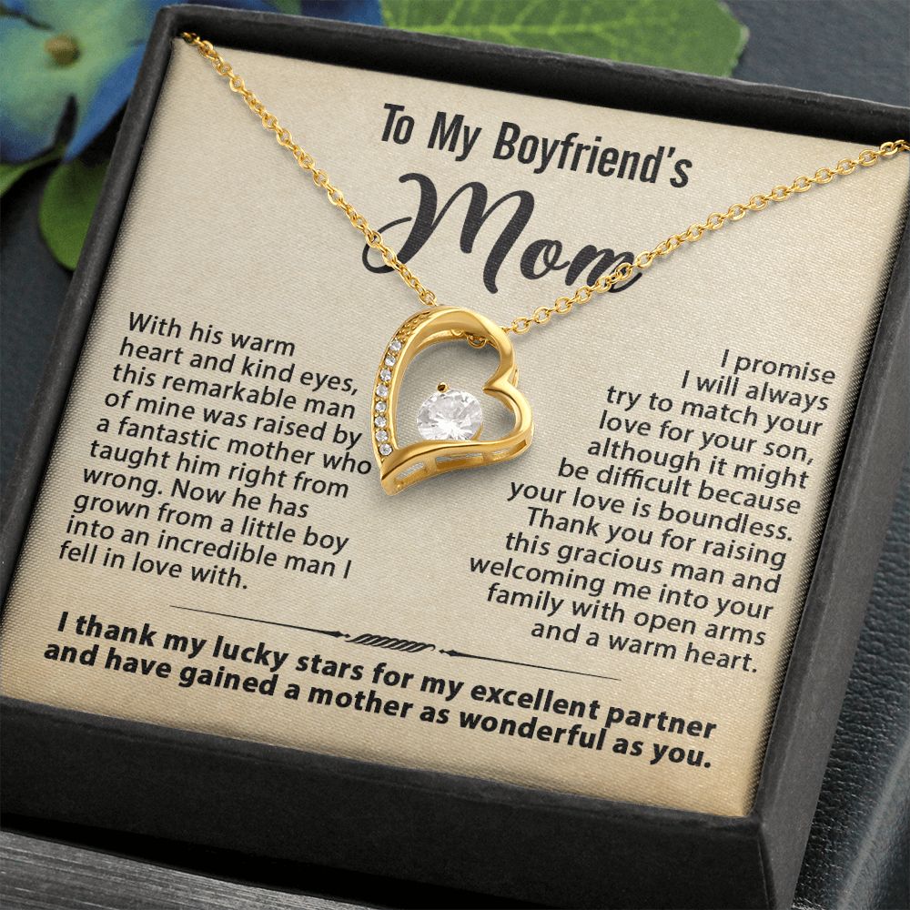 To My Boyfriend's Mom Necklace, Gift for Boyfriend's Mom, Mother's Day Birthday Ideas, Message Card Jewelry Present For BF's Mother #e259