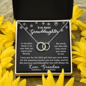 To My Granddaughter Necklace Gift - In my eyes - Perfect Pair #e174